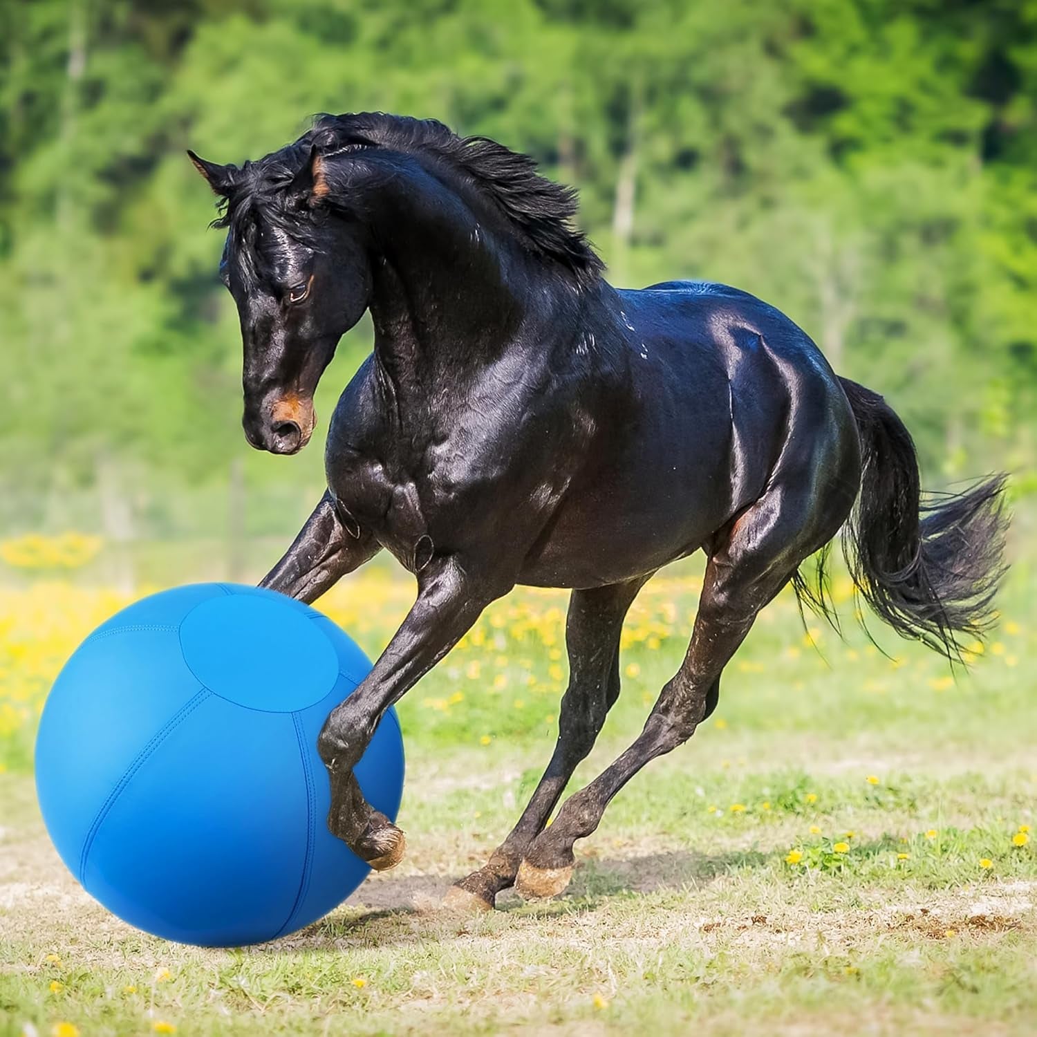 18" Herding Ball for Dogs & Horses – Durable, Bite - Resistant Training Toy for Active Breeds - Paw Fit Gears
