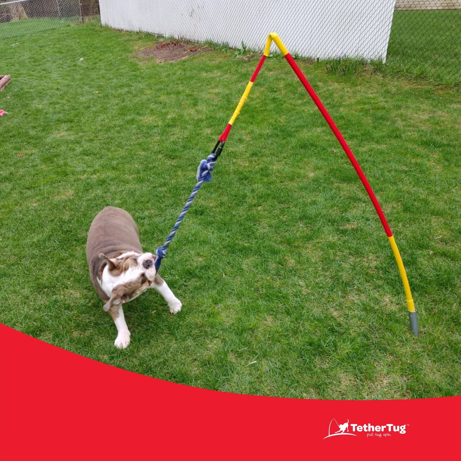 Durable Dog Tug Toy Kit for All Sizes – Solo Play & Heavy Duty Options - Paw Fit Gears