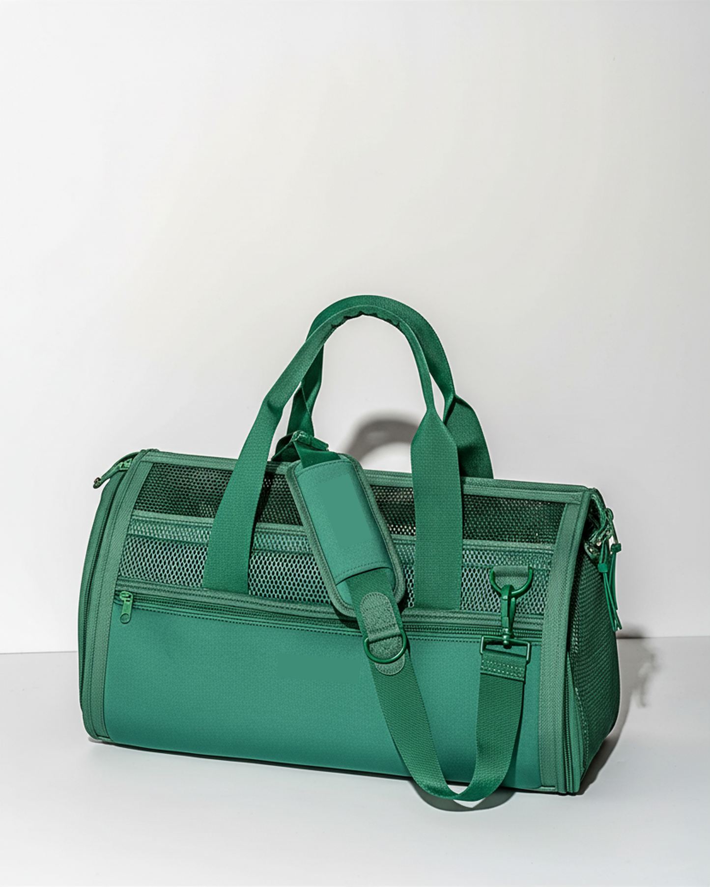 Travel Carrier