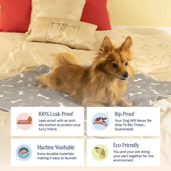 The Best Pee Pad You'll Get