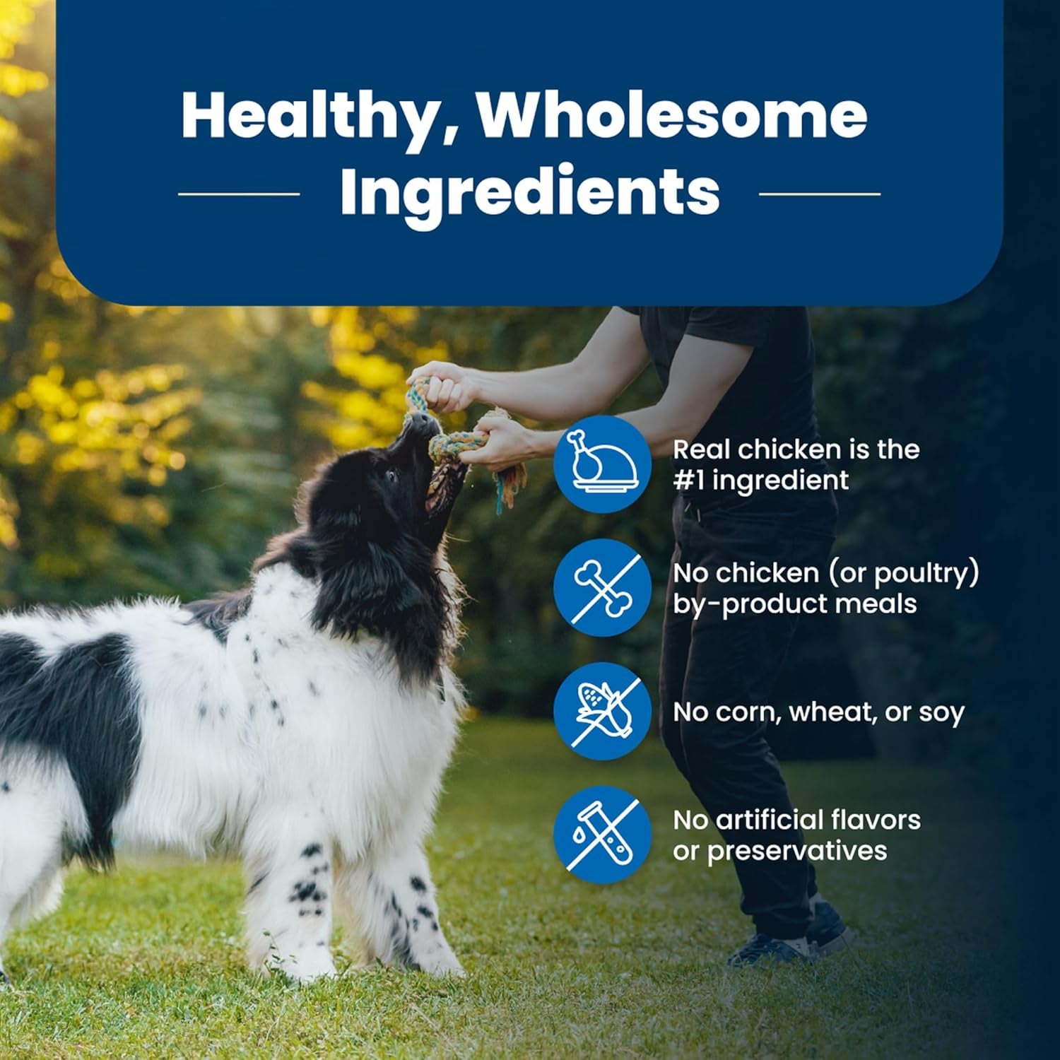 Blue Buffalo Life Protection Adult Dog Food – Chicken & Brown Rice, 30 lb - Paw Fit Gears