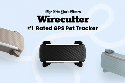 Smart collar for dogs