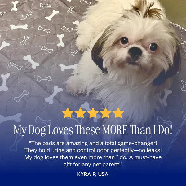 The Best Pee Pad You'll Get