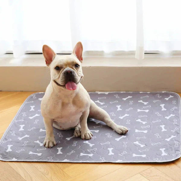 The Best Pee Pad You'll Get