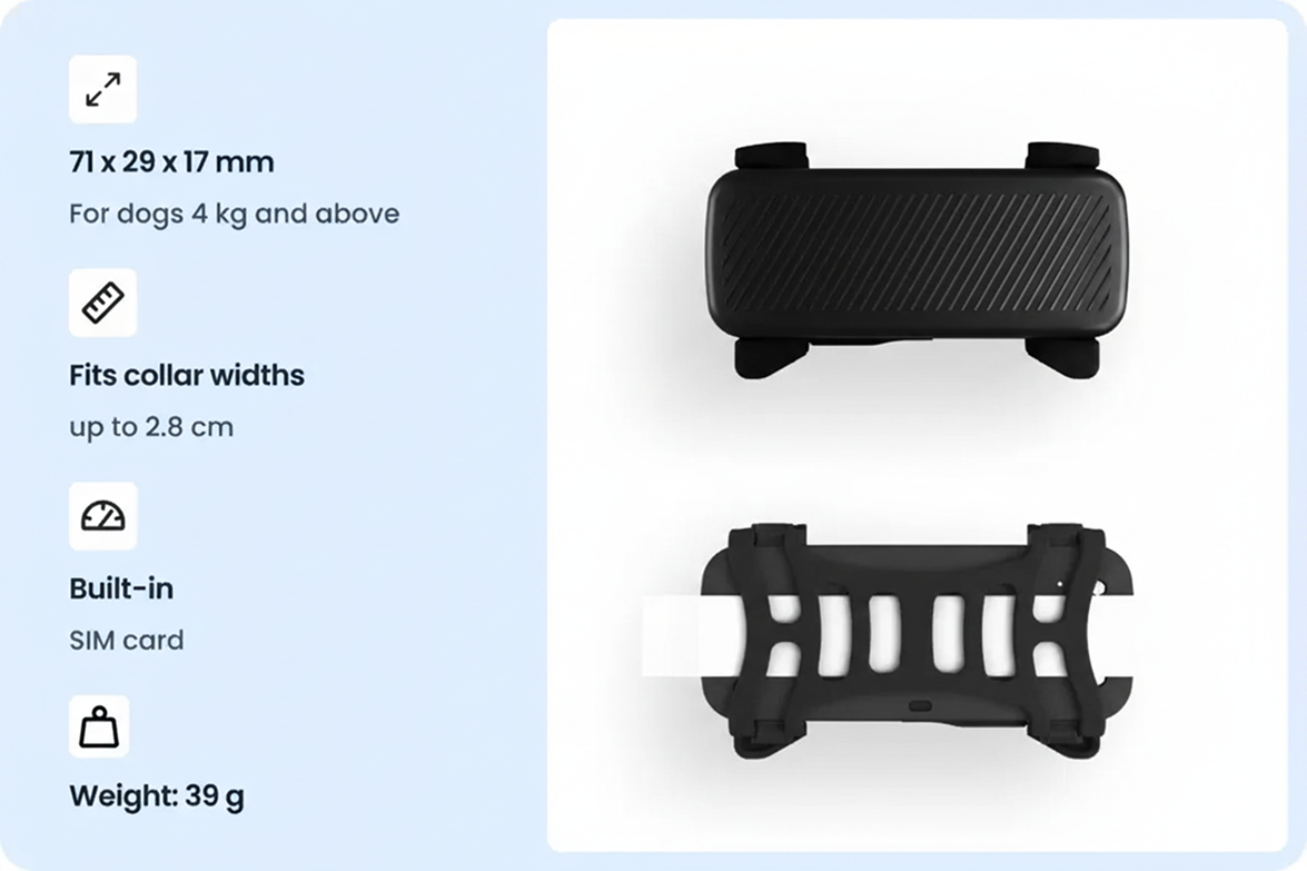Smart collar for dogs