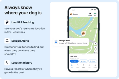 Smart collar for dogs